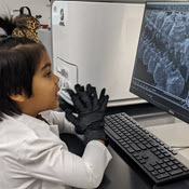 Image Alt Text